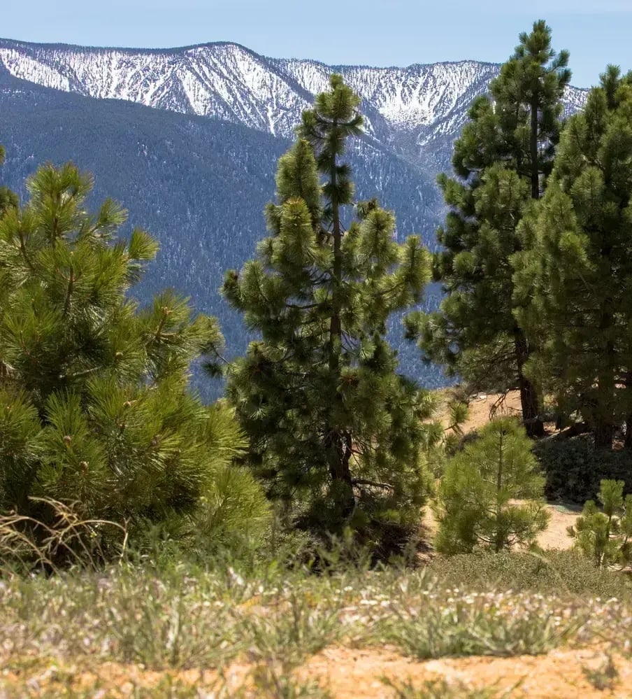 Hiking - Photo courtesy of City of Big Bear Lake