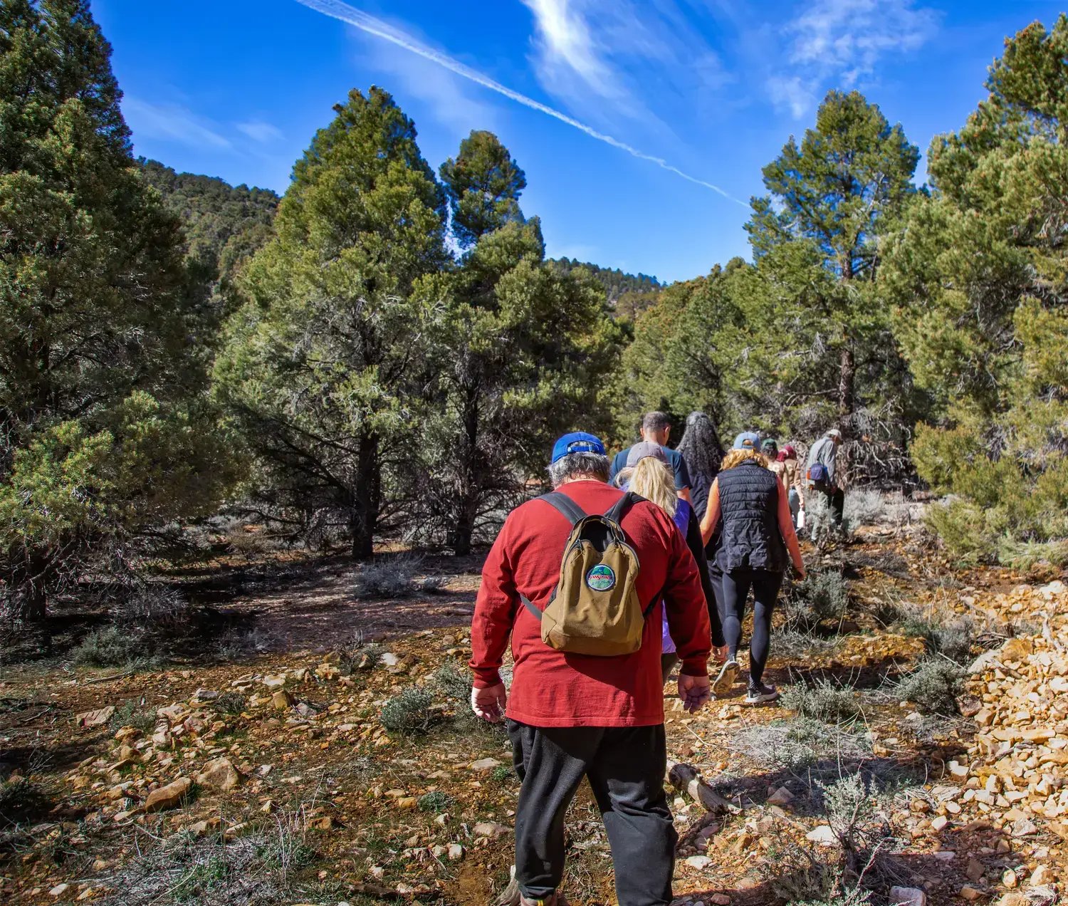 Pebble Plains - Photo by Pandora Vasquez, courtesy of City of Big Bear Lake